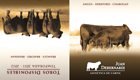 JUAN DEBERNARDI CATALOGO 2011A