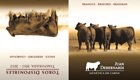 JUAN DEBERNARDI CATALOGO 2011 BRANGUS