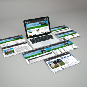 Debernardi Web
