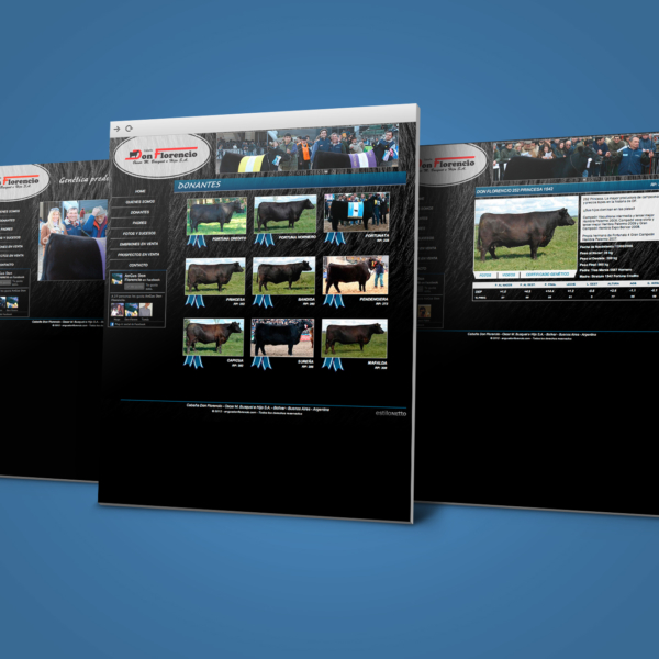 DONFLORENCIO_WEB_MOCKUP